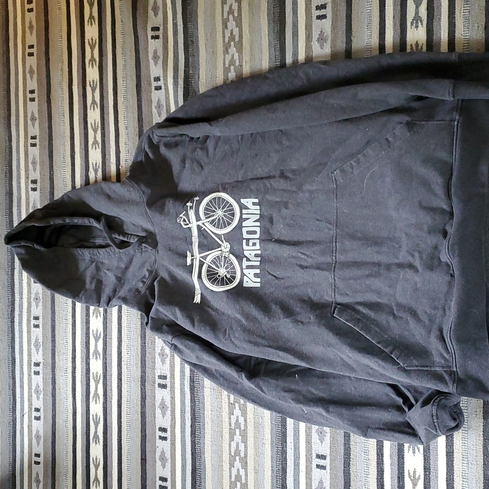 Grey patagonia hooded sweatshirt